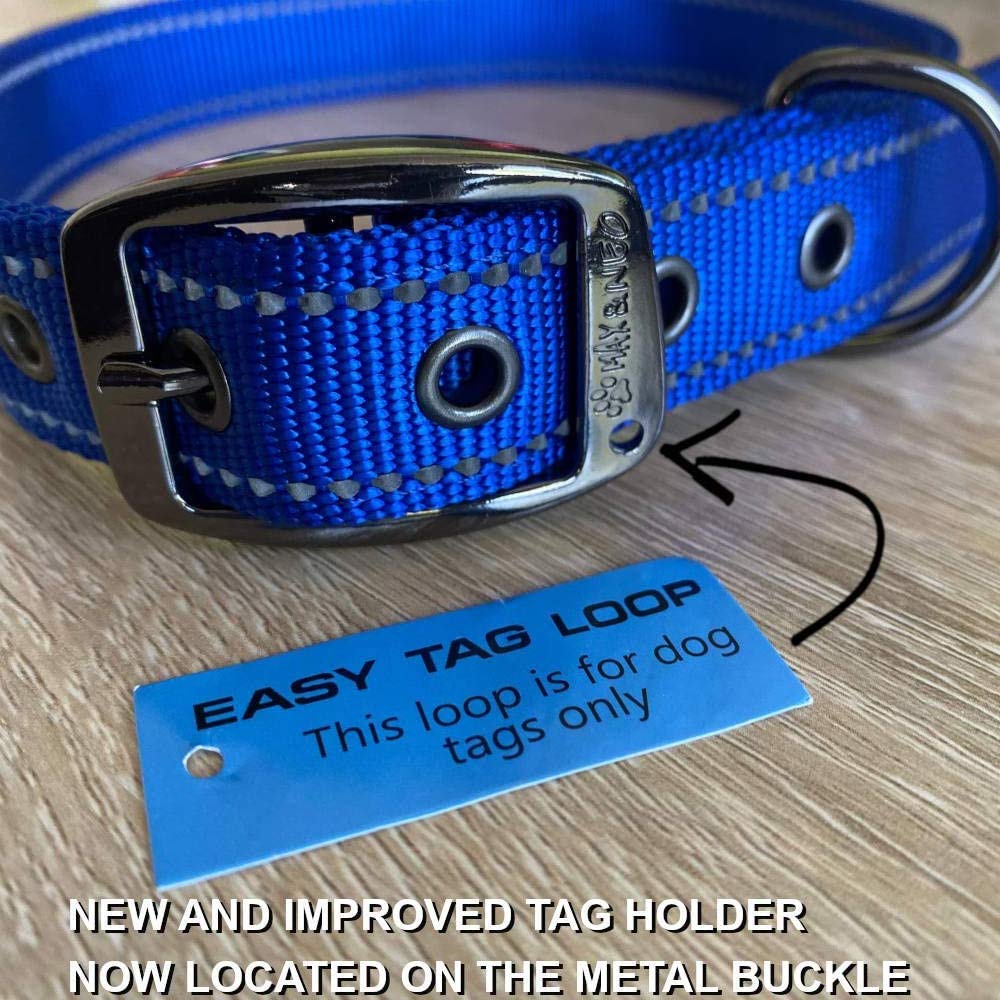 Max and Neo teal collar close-up shows heavy-duty gunmetal buckle