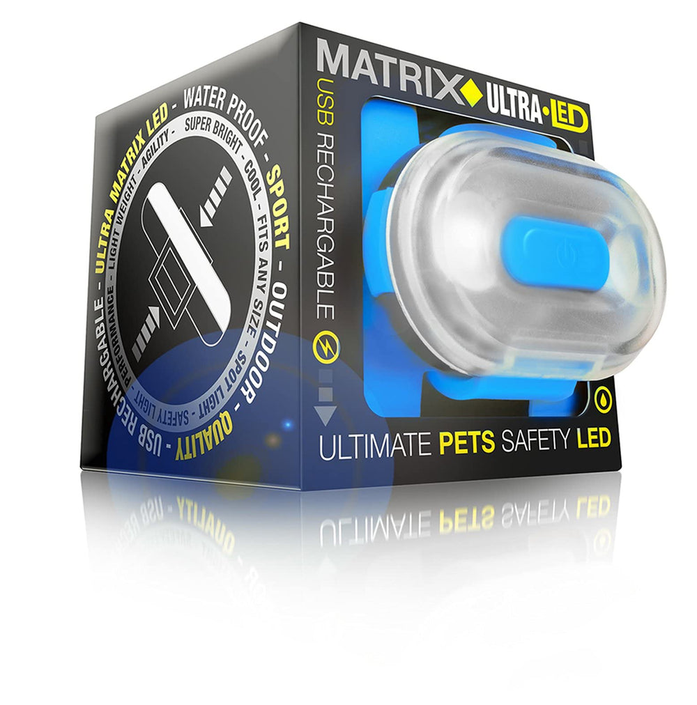 Max & Molly LED light mounted on harness for hands-free safety.