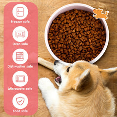 Maxcheck 2pc pink bowls for pet feeding highlights convenient capacity for meals and water.