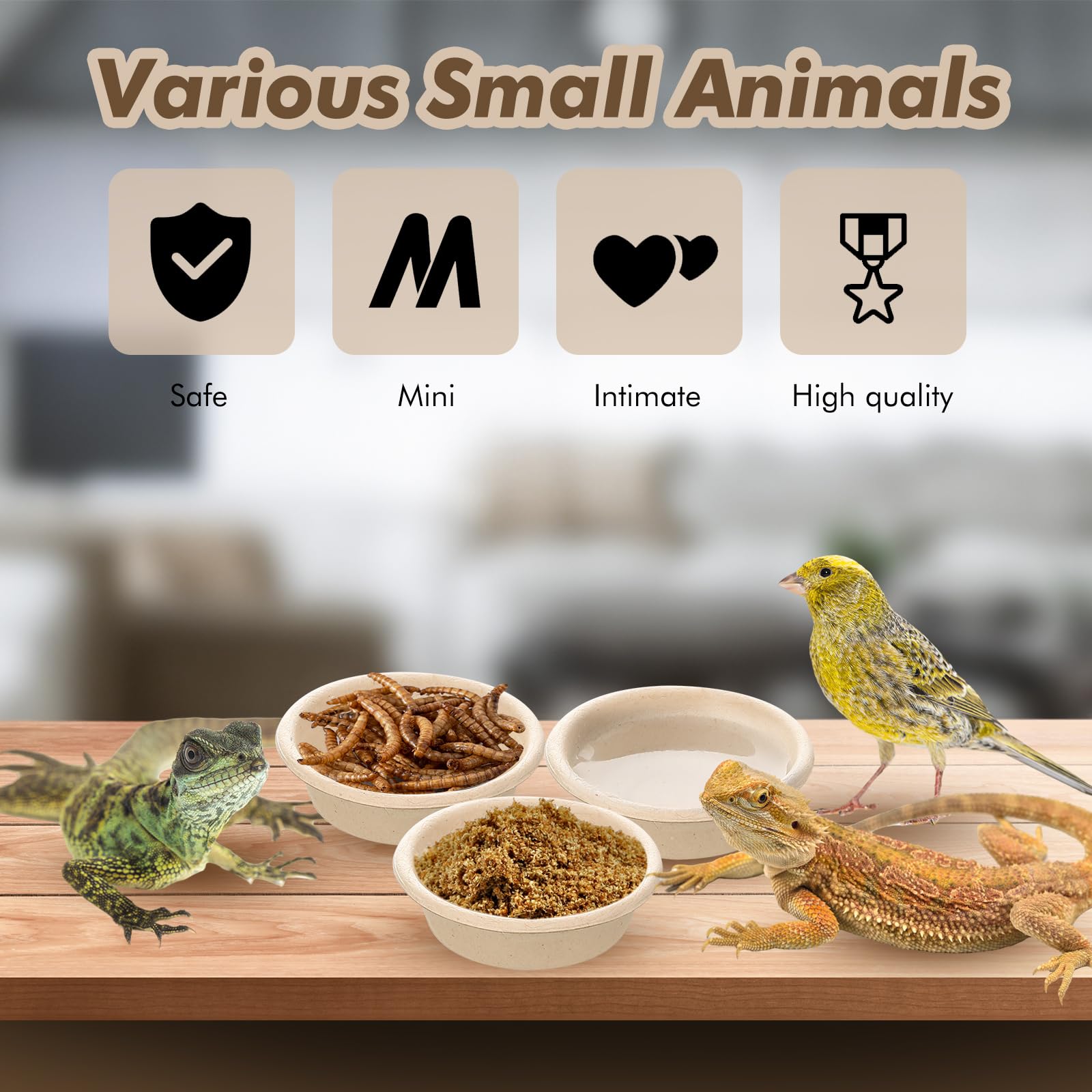 Maxcheck small reptile cups mounted on a rack for tidy meal times.