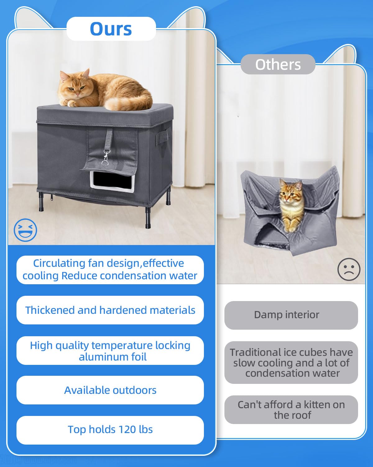MAXCOM elevated-cat-shelter-legs keeps paws dry and away from damp ground