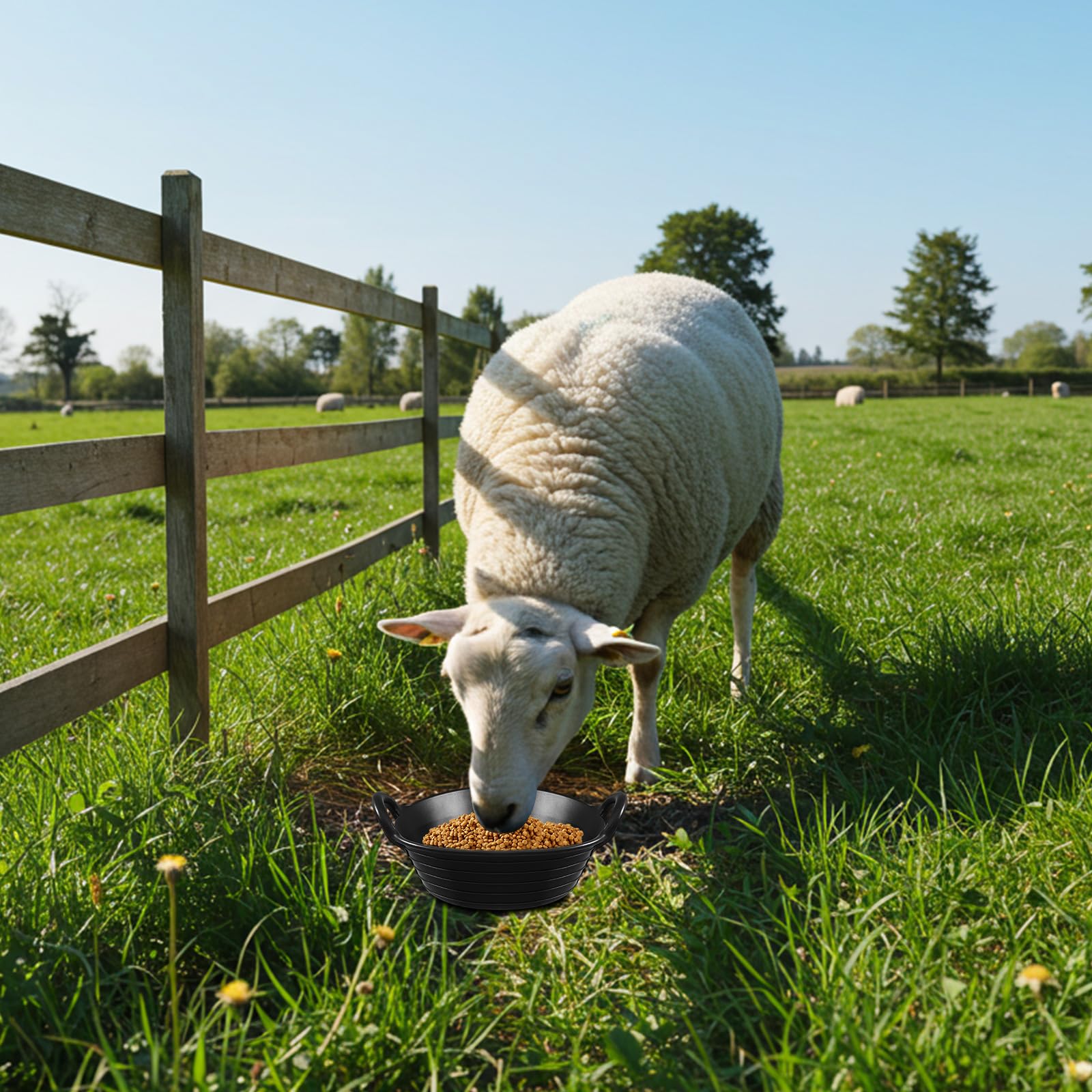 Maxdot rubber feed pan durable yet soft material offers gentle, reliable feeding