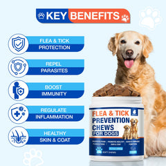 MaxHemp coat and skin support chews image illustrates shinier coats