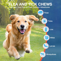 MaxHemp flea tick chews closeup showing chicken flavor dogs love