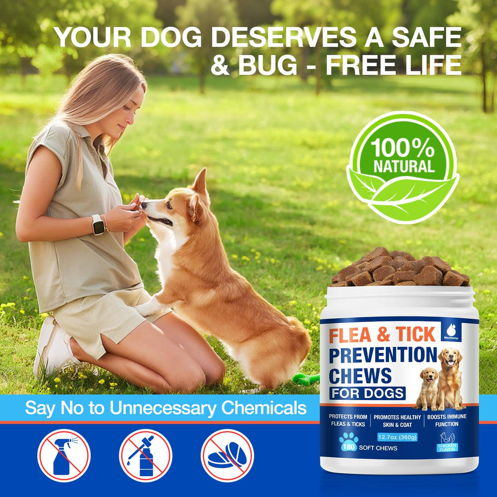 MaxHemp vet-approved chews provide trusted pest protection for pets