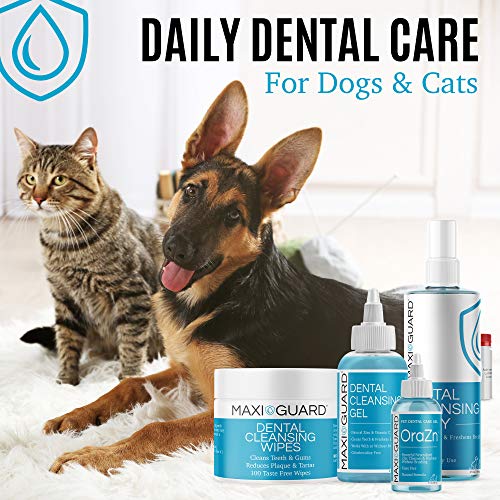 Maxi-Guard wipes container — keeps wipes moist for convenient daily dental care.