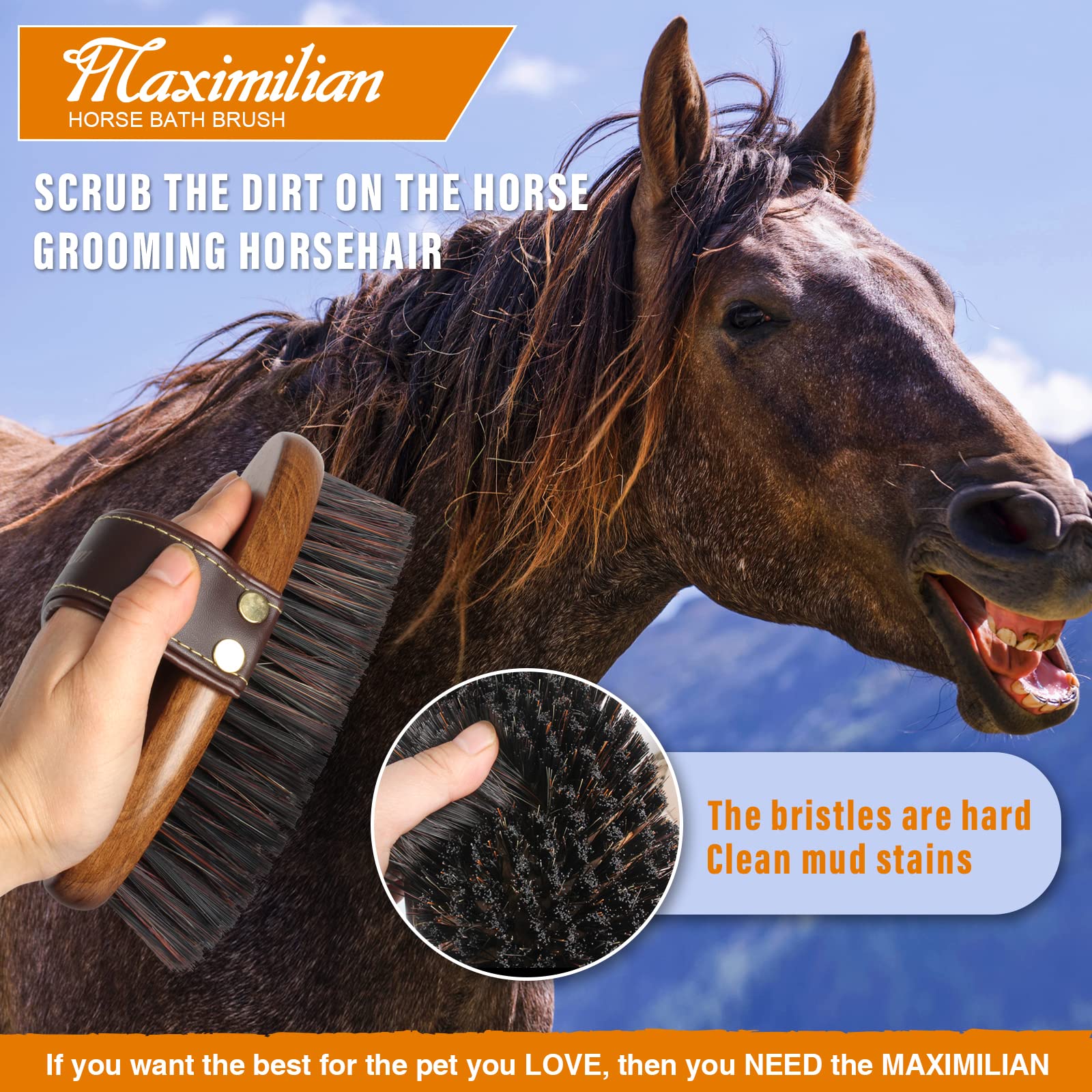 MAXIMILIAN finish highlights premium quality for regular grooming use.