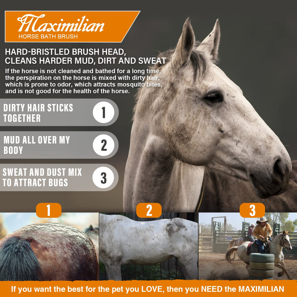 MAXIMILIAN durable craftsmanship supports daily equine grooming routines.