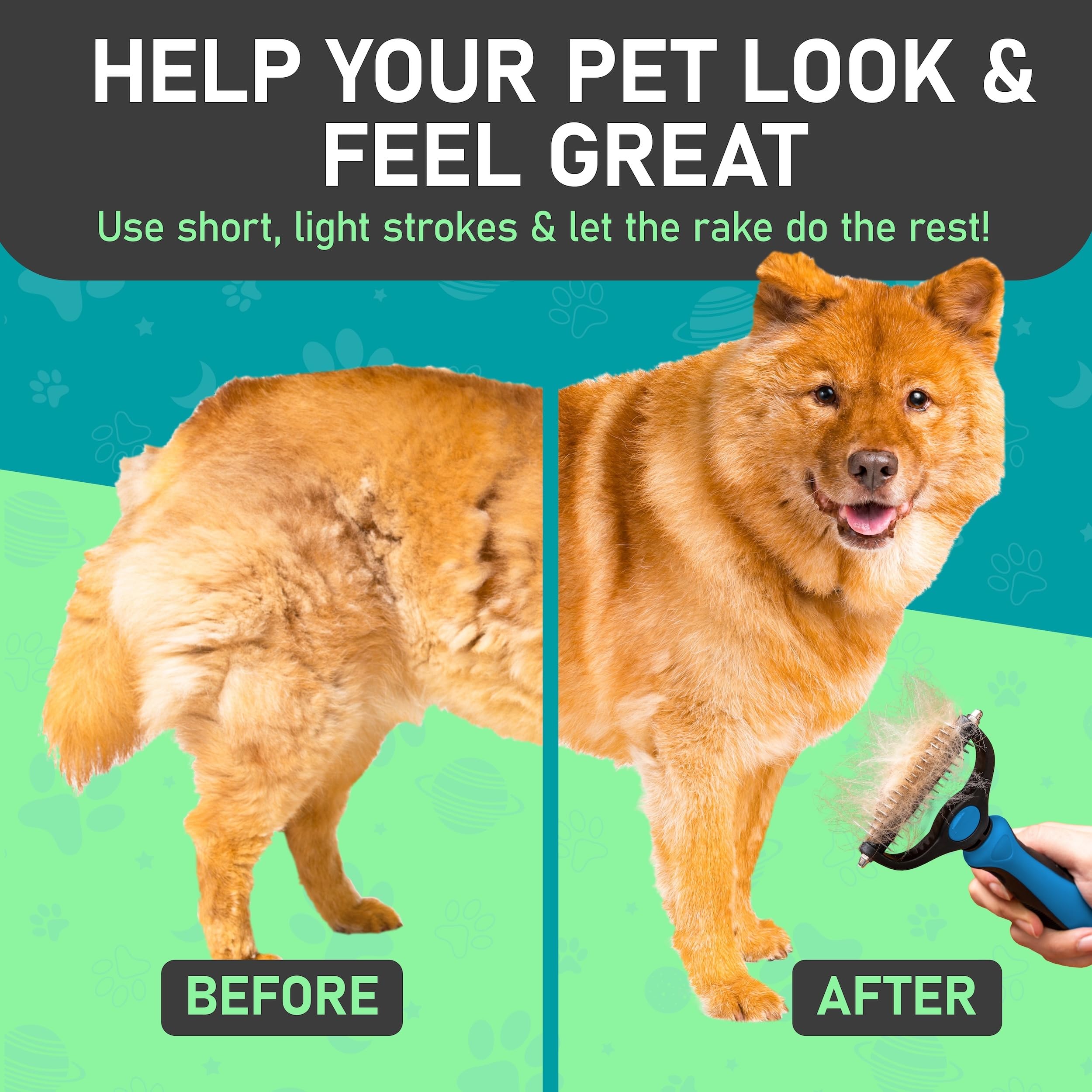 Maxpower Planet dog cat grooming kit shows dual-pet grooming versatility