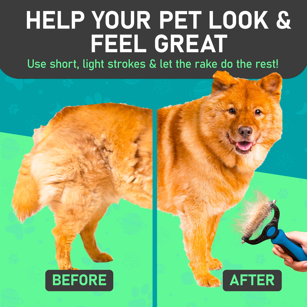 Maxpower Planet dog cat grooming kit shows dual-pet grooming versatility
