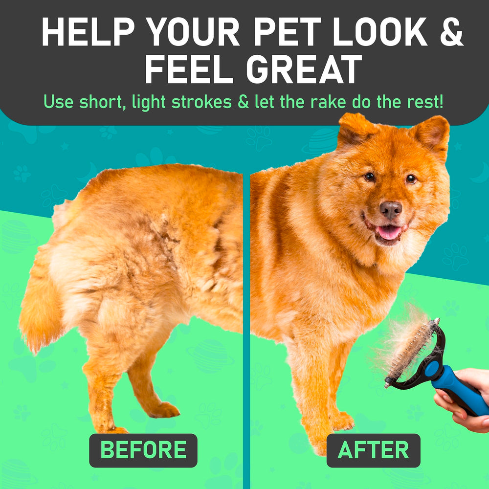 Maxpower Planet dog undercoat rake gently detangles hair