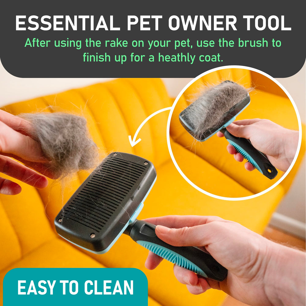 Maxpower Planet rake brush dog mats focuses on mat removal