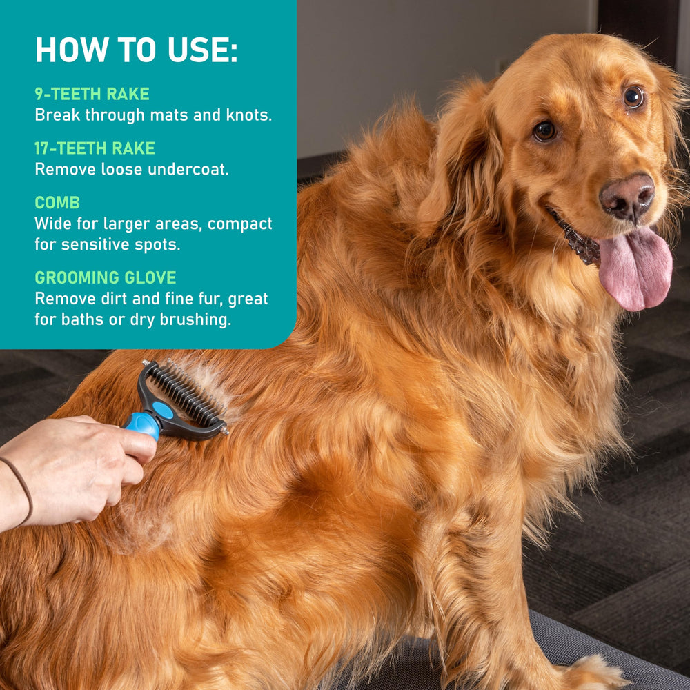Uso diario del cepillo para perros y gatos de Maxpower Planet