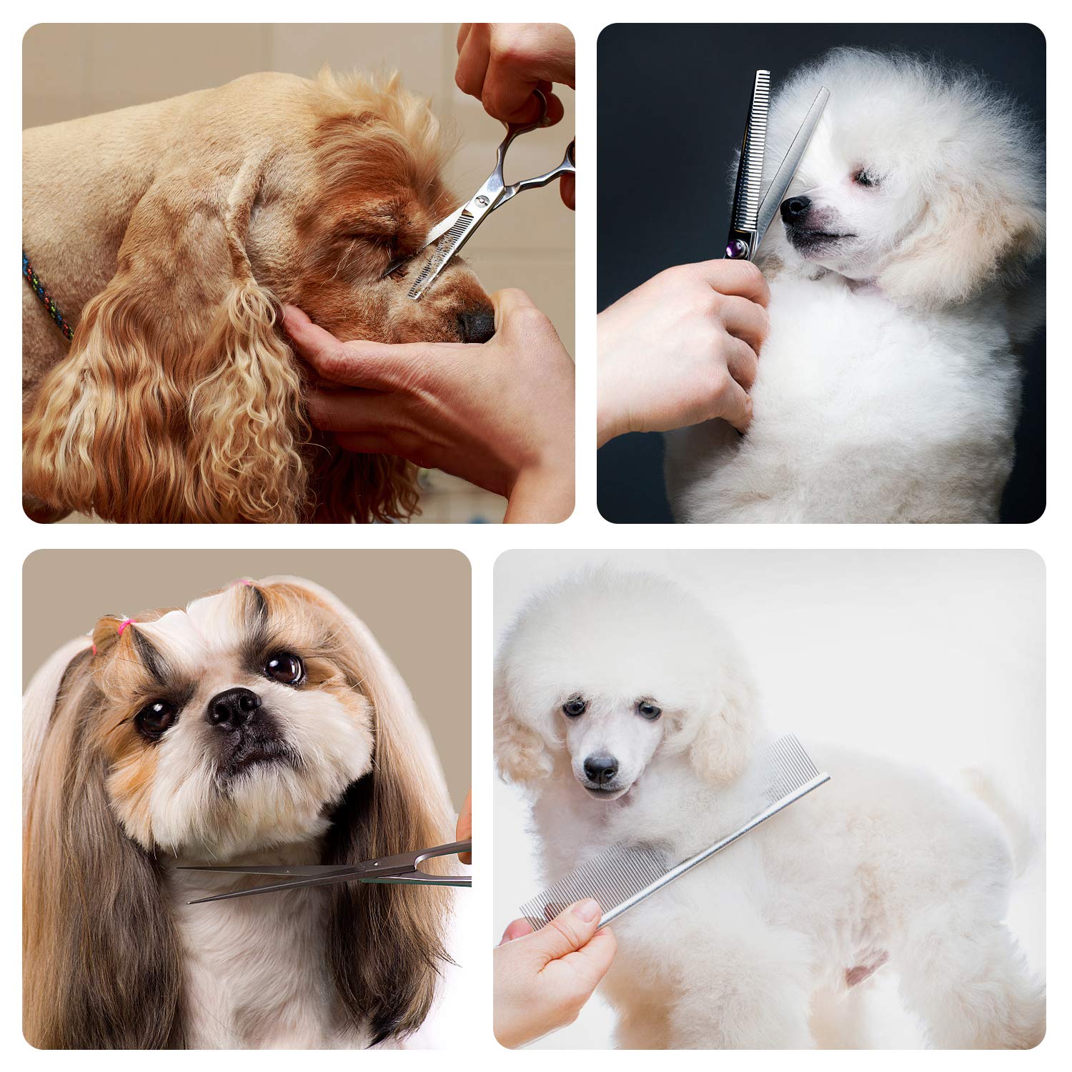 Maxshop dog grooming scissors kit cleaning-ready blades for easy maintenance.