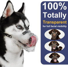 Mayerzon basket muzzle ventilation close-up highlights ample airflow