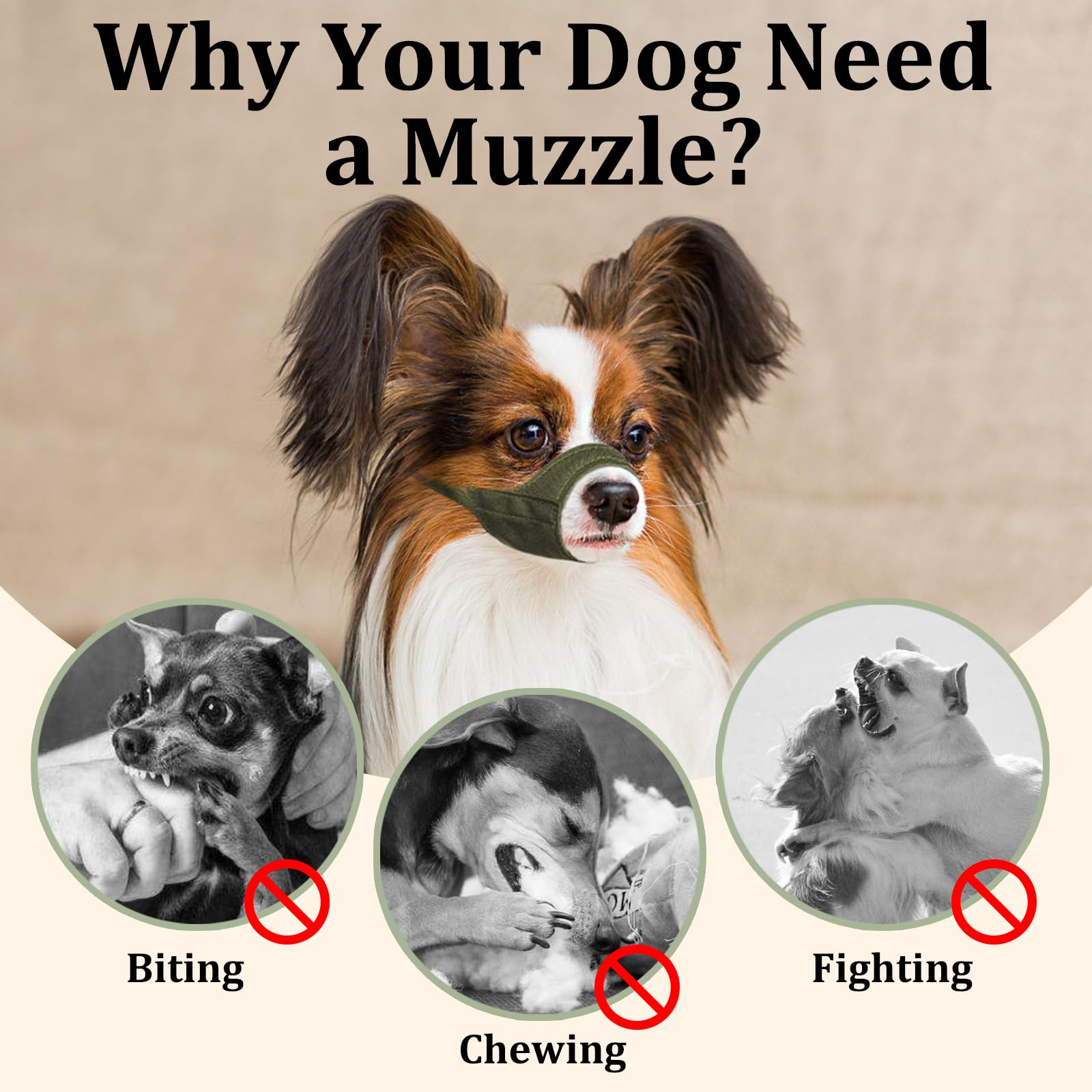 Uso multifuncional Mayerzon para grooming y paseos.