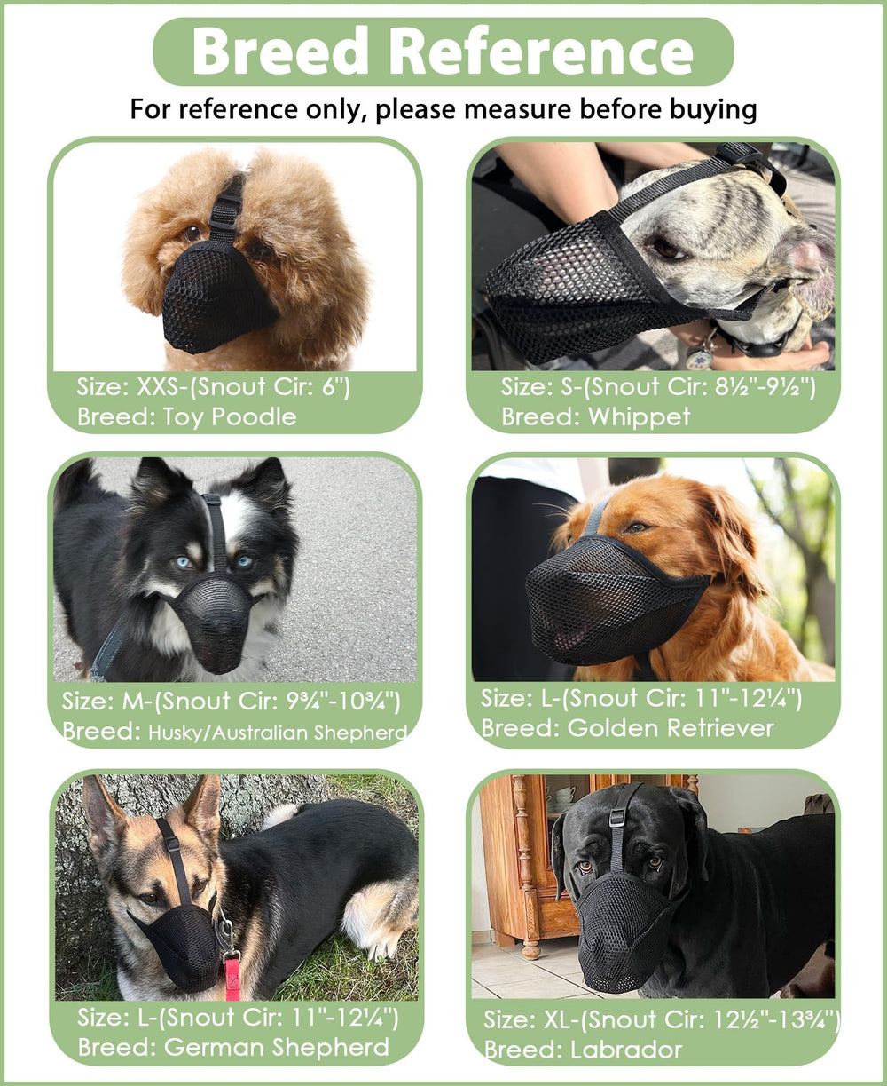 Mayerzon dog muzzle collar loop demonstrates compatibility with collars