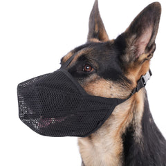 Mayerzon dog muzzle worn by a calm dog, breathable mesh for comfort