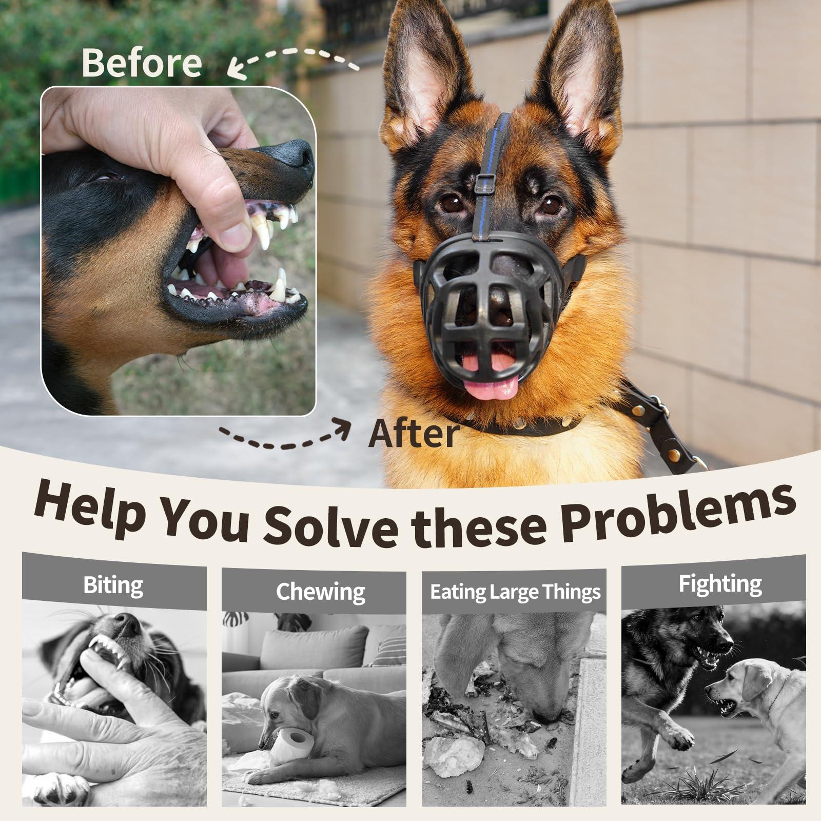 Mayerzon basket muzzle enhances training sessions with positive reinforcement opportunities.