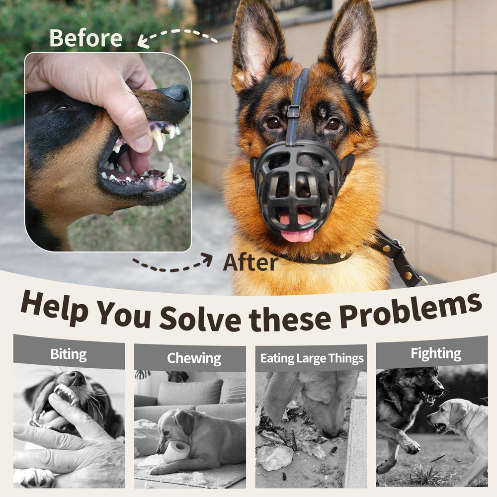 Mayerzon basket muzzle enhances training sessions with positive reinforcement opportunities.