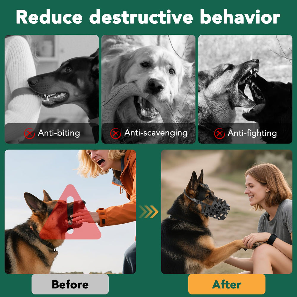 Mayerzon muzzle during grooming session reinforces calm, safe handling