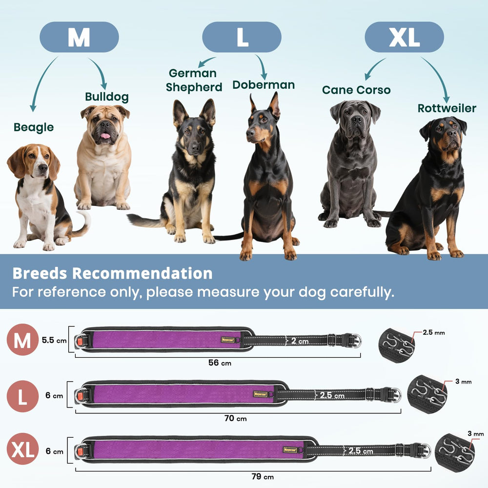 Mayerzon dual-action links enabling gentle, natural correction during walks.