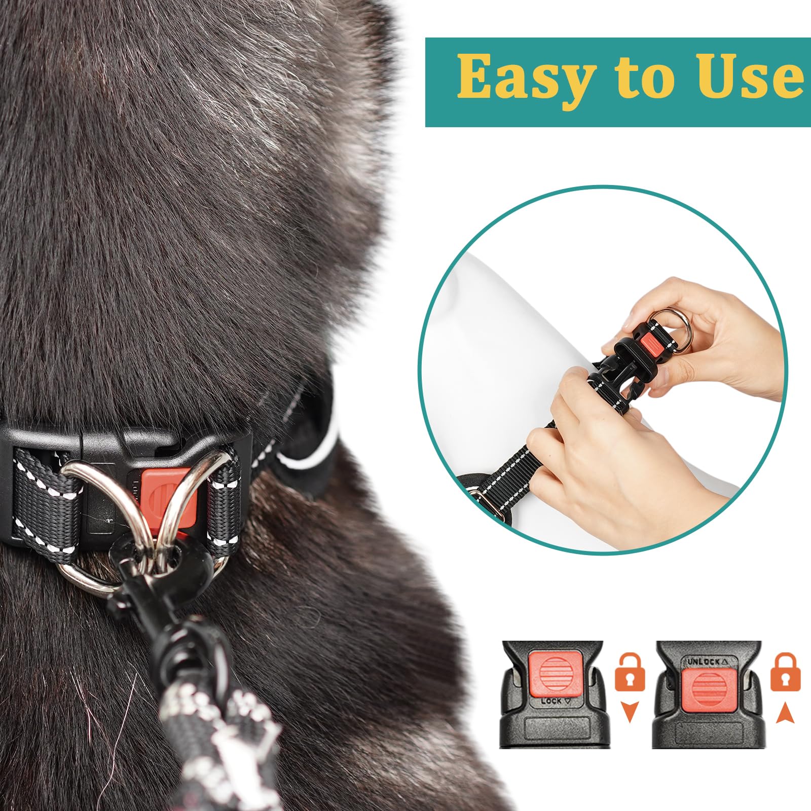 Mayerzon Martingale durable XL collar stands up to daily use.