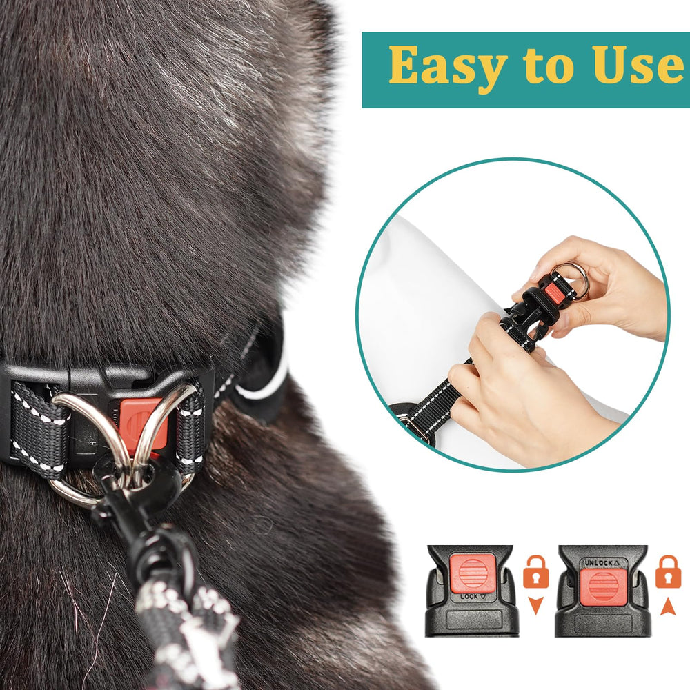 Mayerzon Martingale durable XL collar stands up to daily use.
