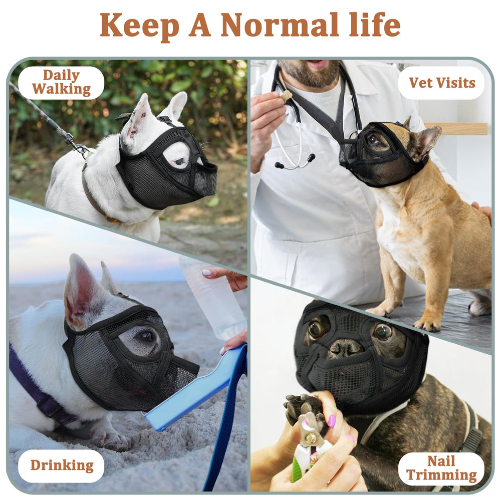 Mayerzon Easy-Clean Muzzle Material simplifies wipe-downs after muddy walks.