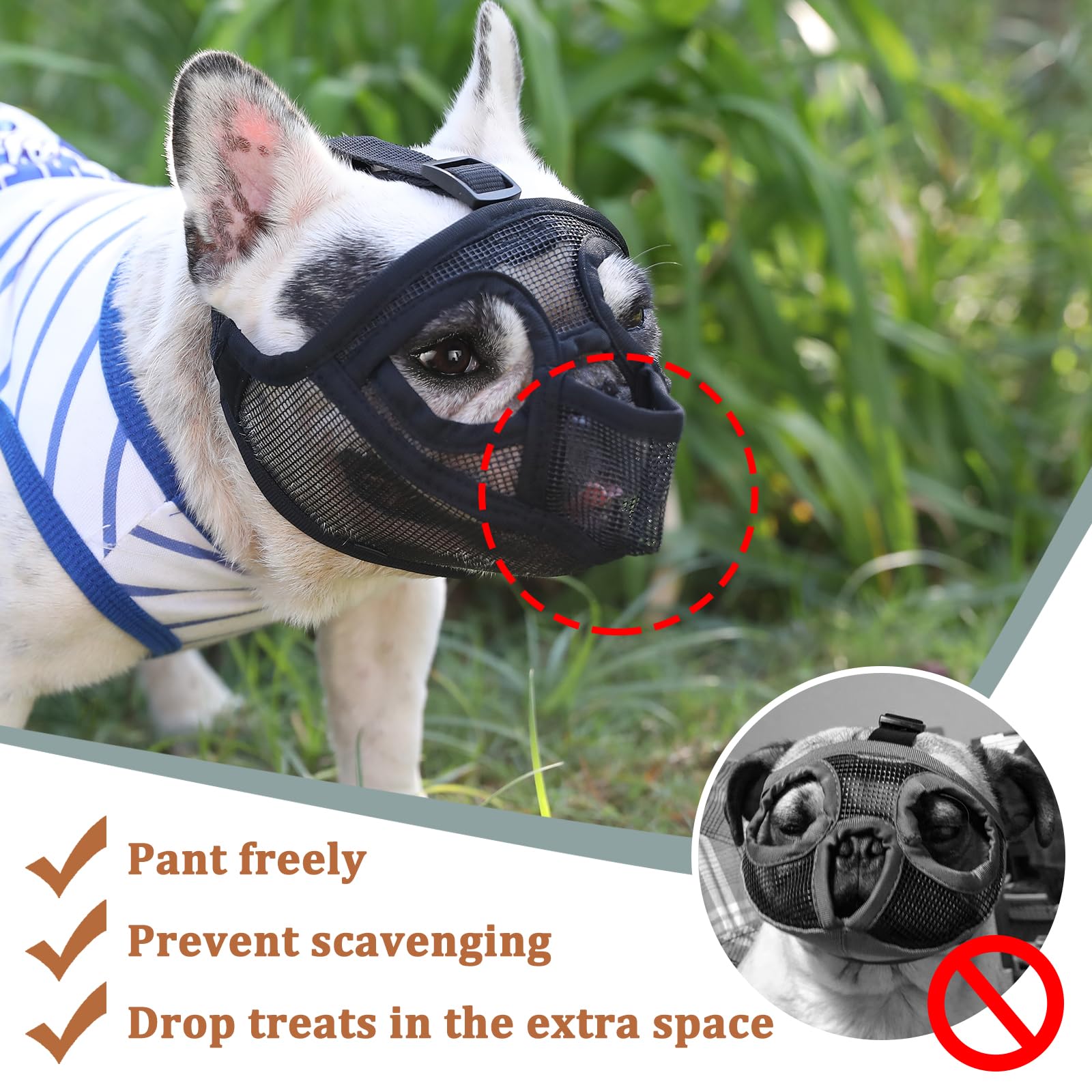 Mayerzon Eyehole Design Muzzle preserves vision for calm, confident walking.