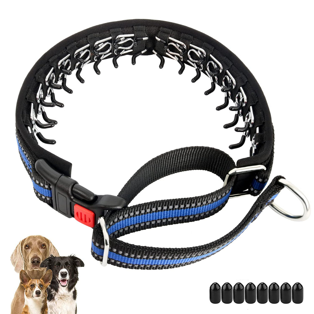 Mayerzon martingale-collar blue closeup shows durable no-pull design for everyday walks