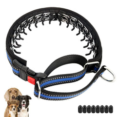 Mayerzon martingale-collar blue closeup shows durable no-pull design for everyday walks