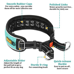 Mayerzon collar buckle closeup—secure fit for training and walking.