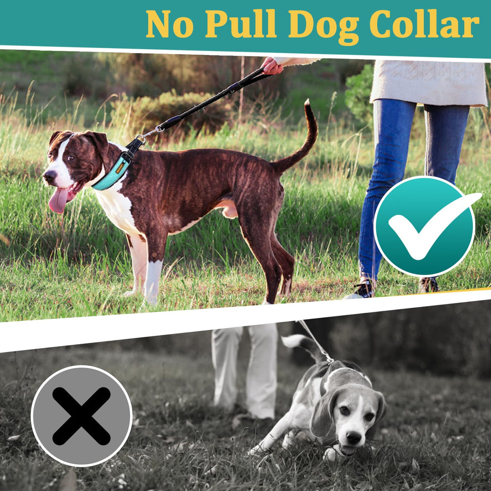 Mayerzon martingale collar sturdy D-ring—easy leash attachment.