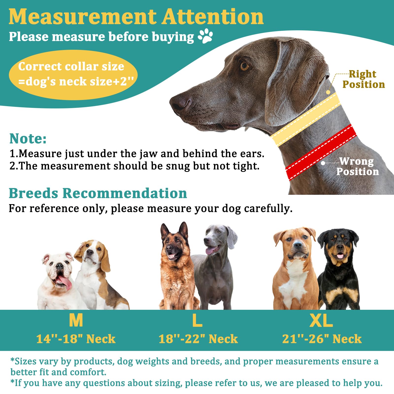 Mayerzon Martingale D-ring leash attachment supports secure leash connection.