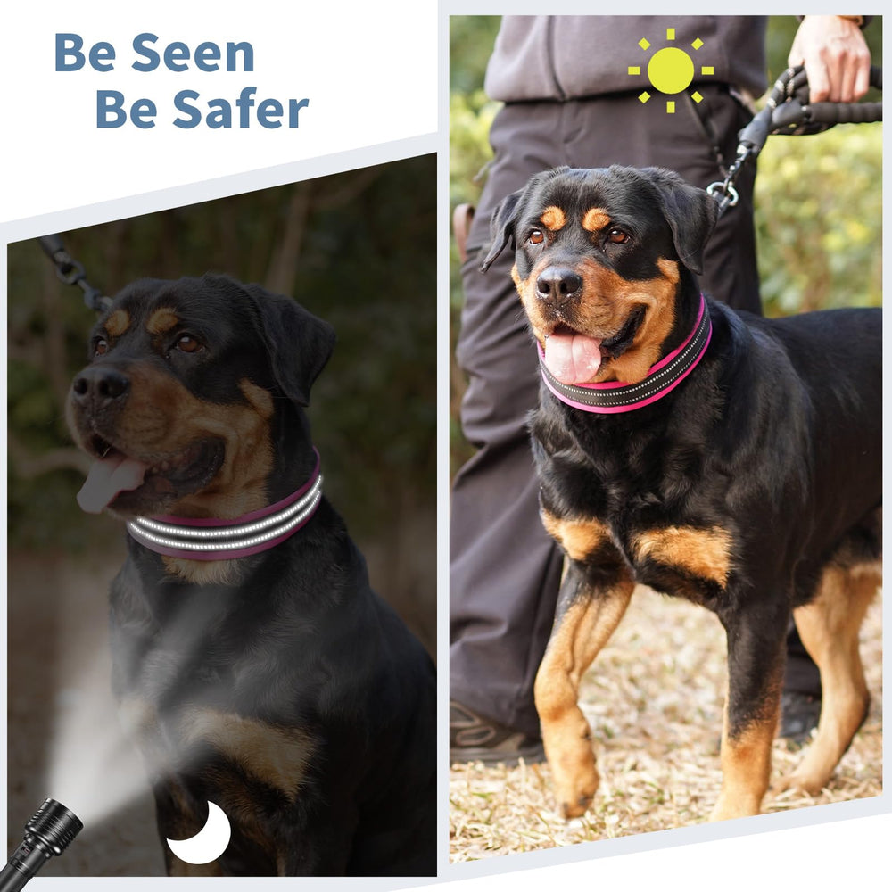 Mayerzon collar worn demonstrates durable design for reliable training sessions