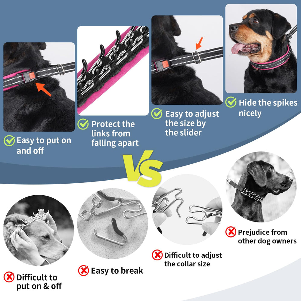 Mayerzon D-ring leash attachment and sturdy buckle offer secure control