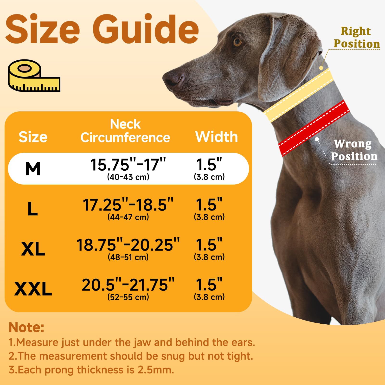 Mayerzon collar close-up showing tightening loop for gentle correction