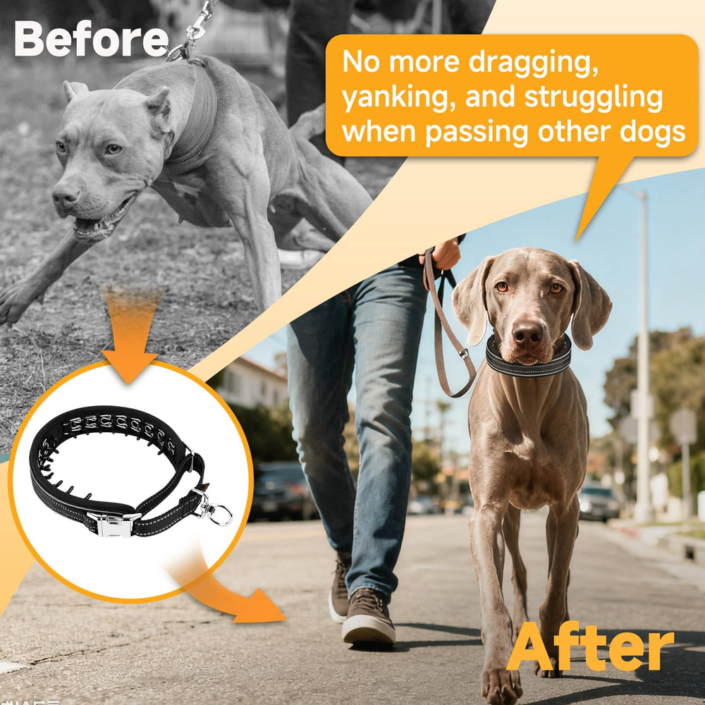 Mayerzon elastic retention keeps links secure during walks