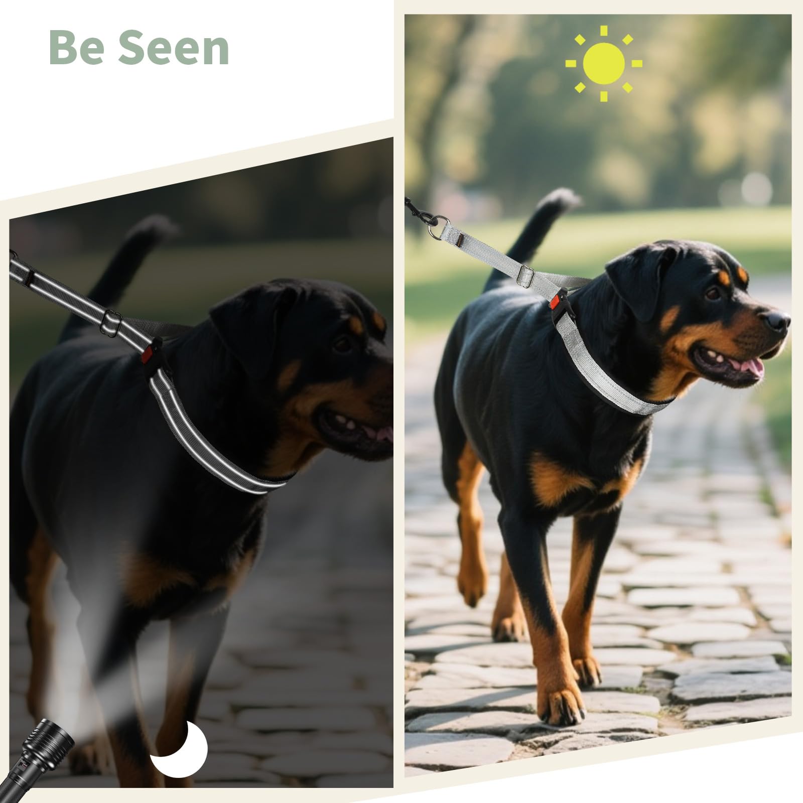 Mayerzon Martingale collar neoprene padding cushions the neck during long outings.