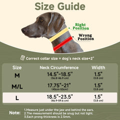 Mayerzon Martingale No Pull Collar with reflective webbing improves visibility