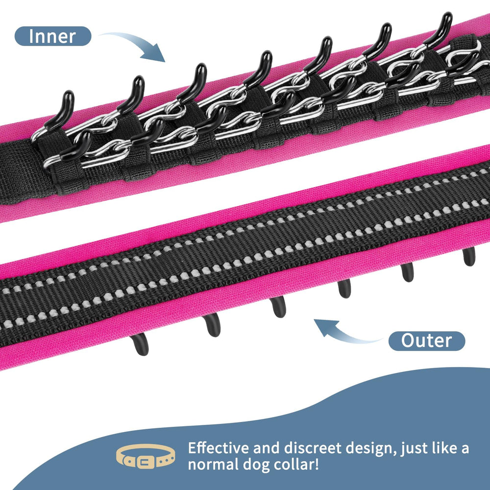 Mayerzon collar side-adjustment highlights quick fit on growing dogs