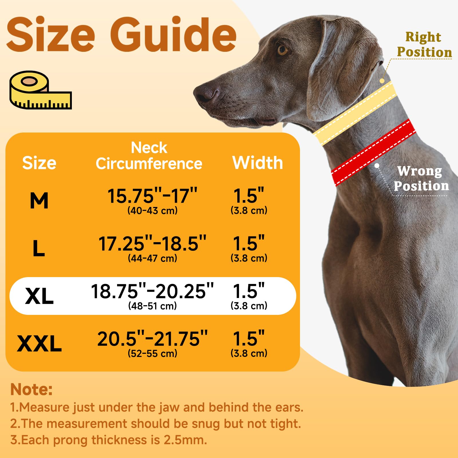 Mayerzon Martingale No Pull Collar quick-release buckle eases on/off and quick training sessions