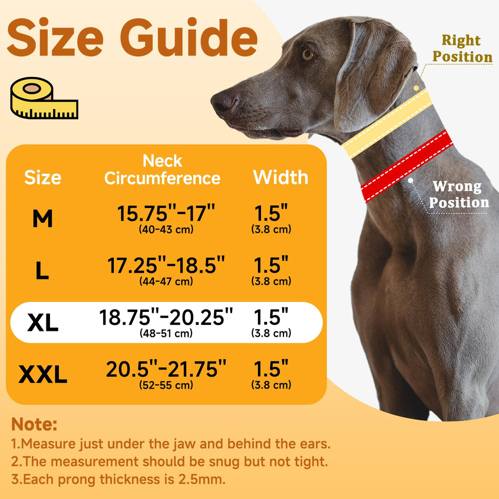 Mayerzon Martingale No Pull Collar quick-release buckle eases on/off and quick training sessions