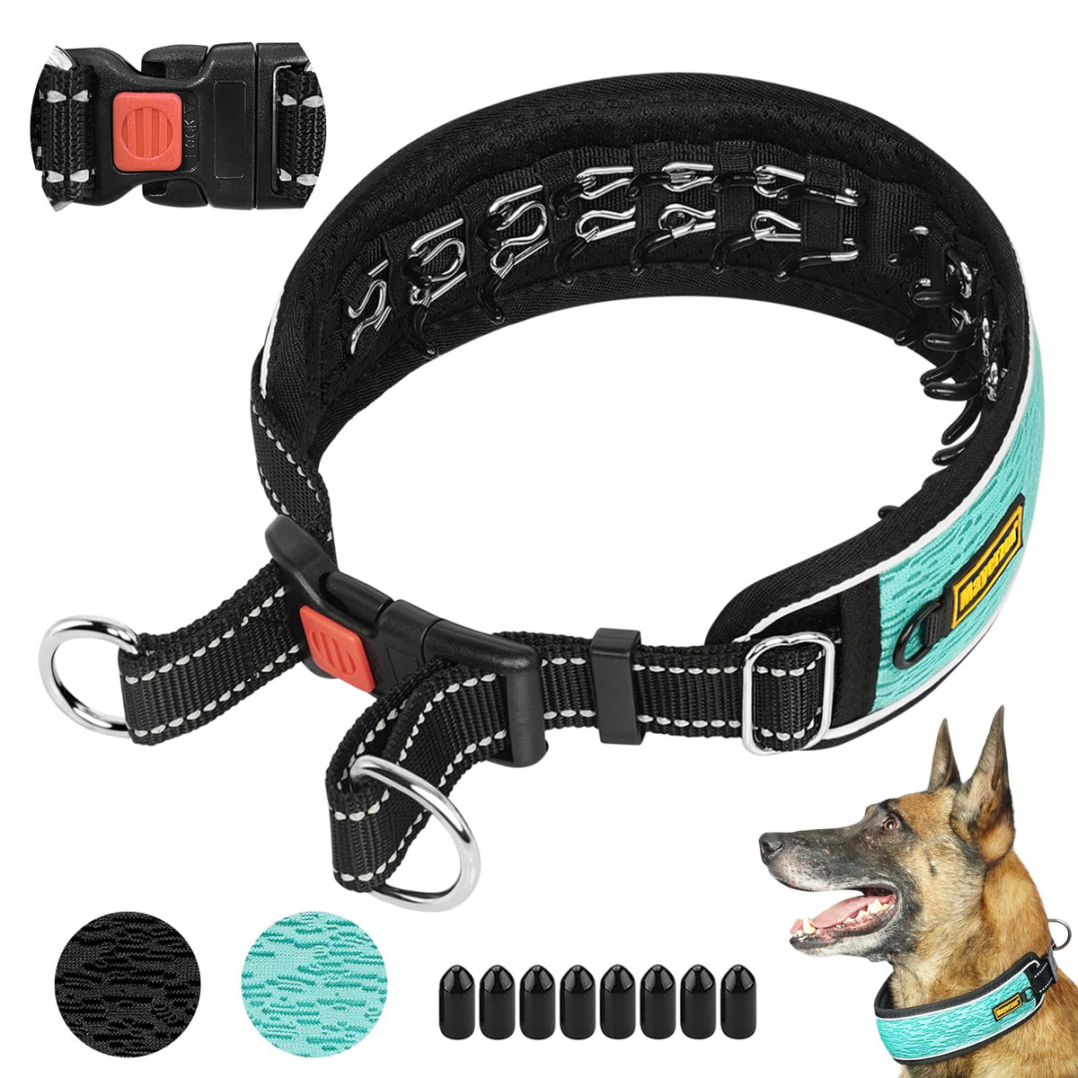 Mayerzon Martingale No Pull Collar XL Cyan on dog during walk for controlled, comfortable training.