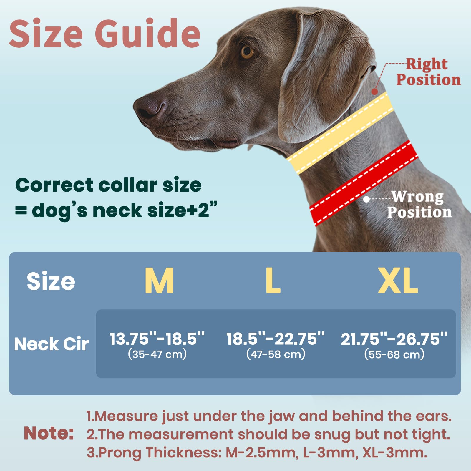 Mayerzon no-pull collar built-in D-ring for easy ID tag attachment.