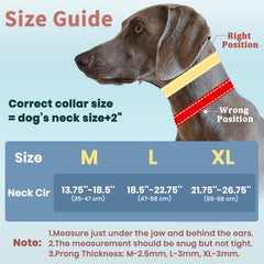 Mayerzon no-pull collar built-in D-ring for easy ID tag attachment.