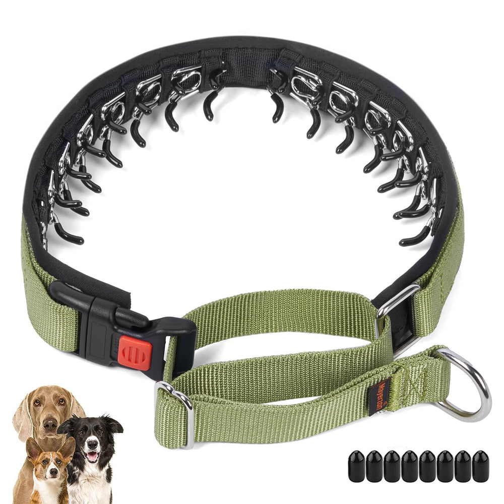 Mayerzon No Pull Collar closeup buckle highlights durable nylon and secure hardware for safe training.