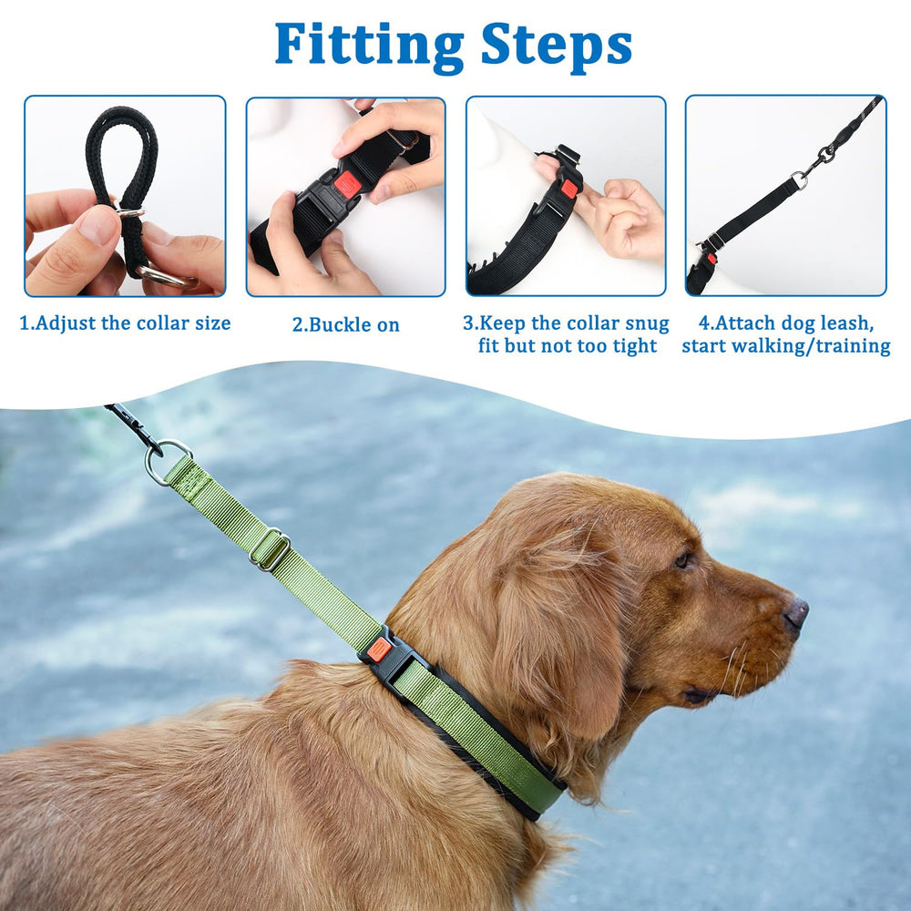 Mayerzon No Pull Collar in-use view shows easy wear and neck-height positioning.