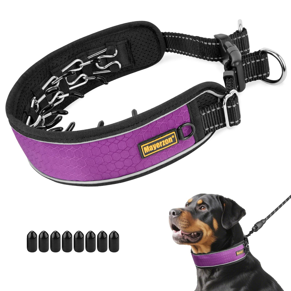 Mayerzon patented no-pull collar with adjustable buckle for secure, comfortable training sessions.